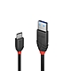 LINDY 林帝 Black USB 3.2 Gen 2 Type-C/公 to Type-A/公 傳輸線 0.5m (36915) product thumbnail 1