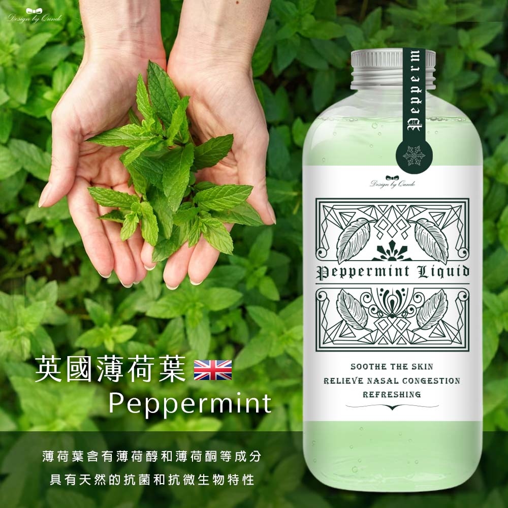 康朵萬用舒涼薄荷水 大容量裝500ML*3入組