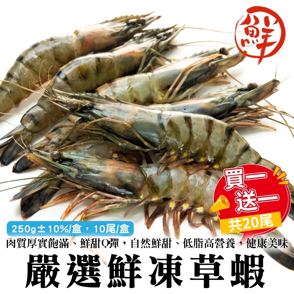 買1送1【海陸管家】嚴選鮮凍草蝦共2盒(每盒10尾/約250g)