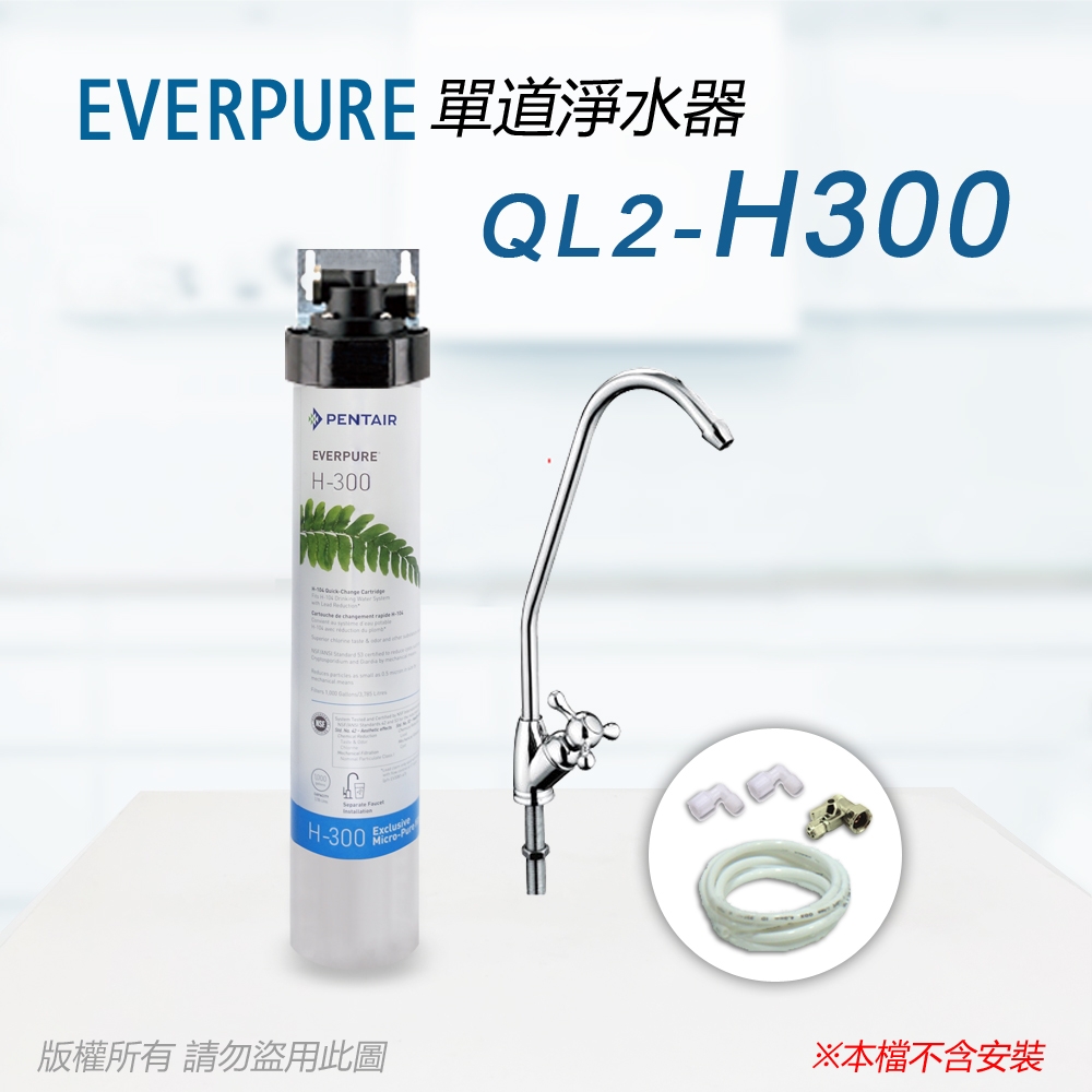 【Everpure】美國原廠 QL2-H300 單道淨水器(自助型-含全套配件)