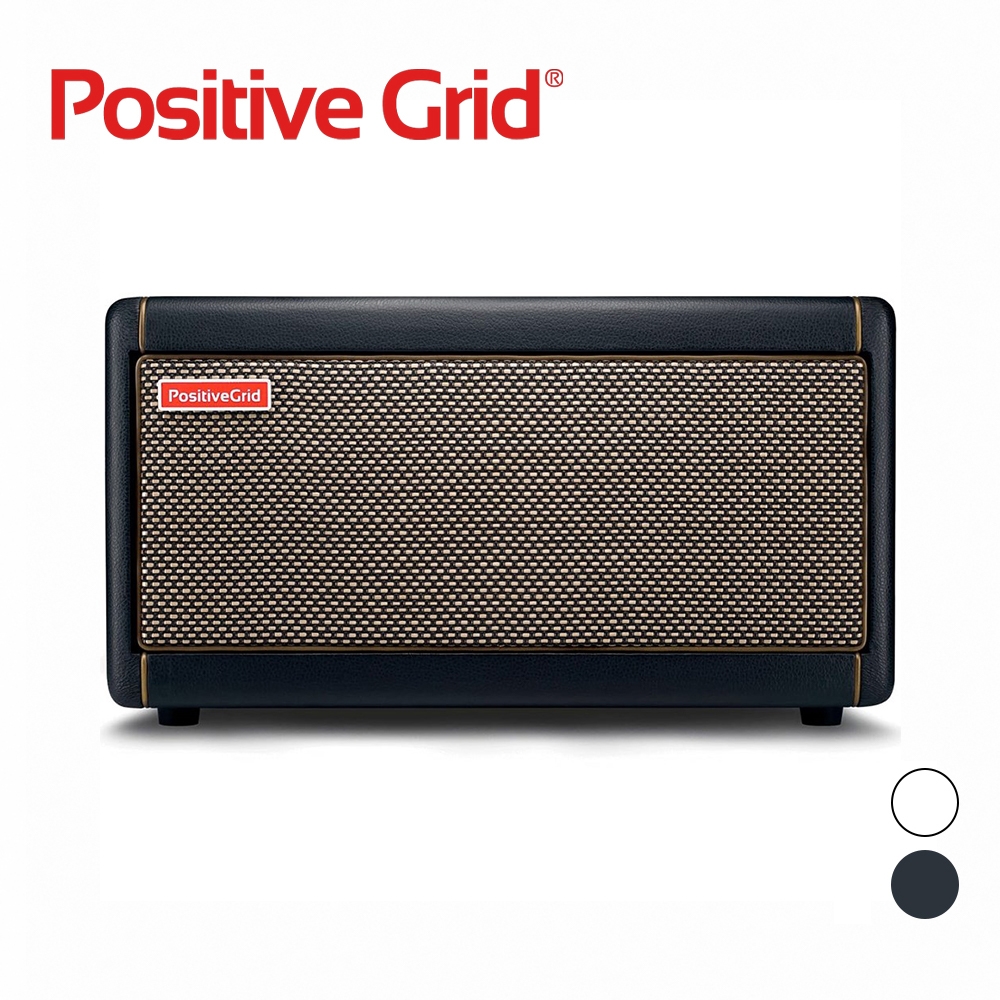 positive grid Spark 40 美品-