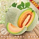 【果農直配】紅肉哈密瓜2入禮盒(每顆1100g-1300g) product thumbnail 1