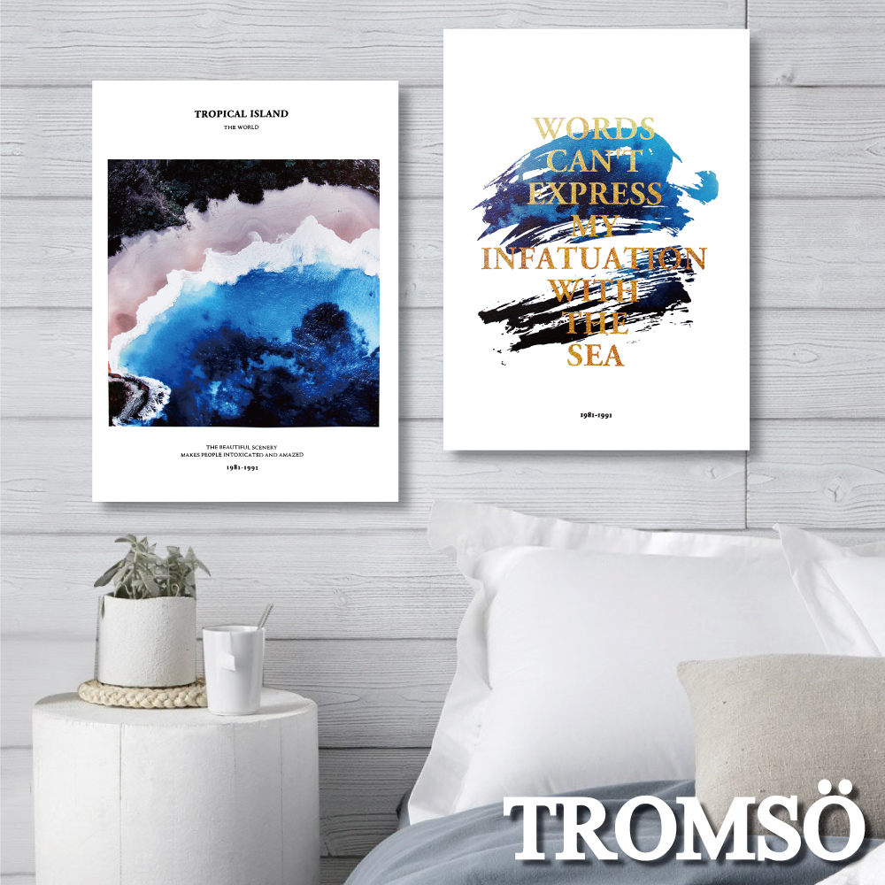 TROMSO 時尚無框畫-暢藍海洋