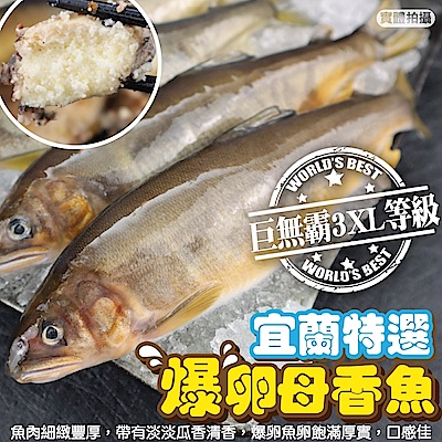 【海陸管家】特選宜蘭巨無霸3xl爆卵母香魚1盒(每盒8尾/約1kg)