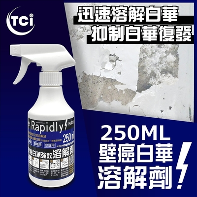 【十田修繕】TCI 日本製 壁癌白華溶解劑 250ML