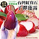 【天天果園】嚴選台灣子彈蓮霧12顆(每顆約120g) product thumbnail 1