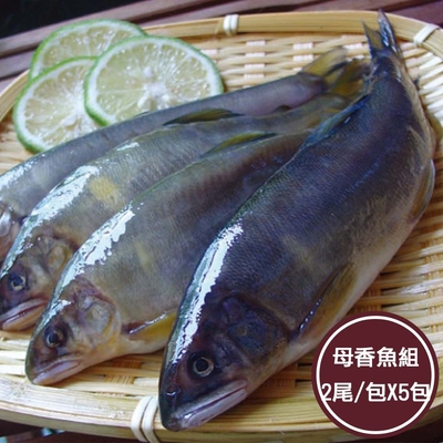 新鮮市集 隻隻抱卵母香魚5包(2尾/包)