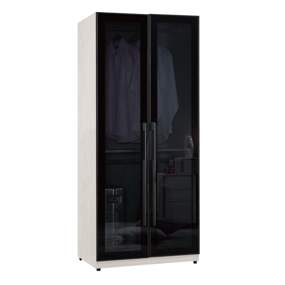 文創集 莉諾爾2.7尺二門鋁框玻璃衣櫃-80x58x196cm免組