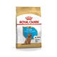 ROYAL CANIN法國皇家-貴賓幼犬(PDP) 3kg(購買第二件贈送寵物零食x1包) product thumbnail 1