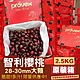【天天果園】智利空運9.5R櫻桃2.5kg原裝禮盒 x2盒 product thumbnail 1