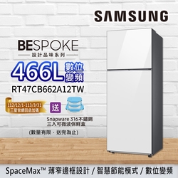 SAMSUNG三星 BESPOKE設計品味 466L 極簡雙門冰箱 RT47