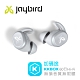 Jaybird Vista 真無線藍牙運動耳機 product thumbnail 9