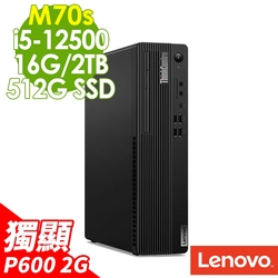 Lenovo ThinkCentre M70s (i5-12500/16G/2TB+512G SSD/P600 2G/W11P)