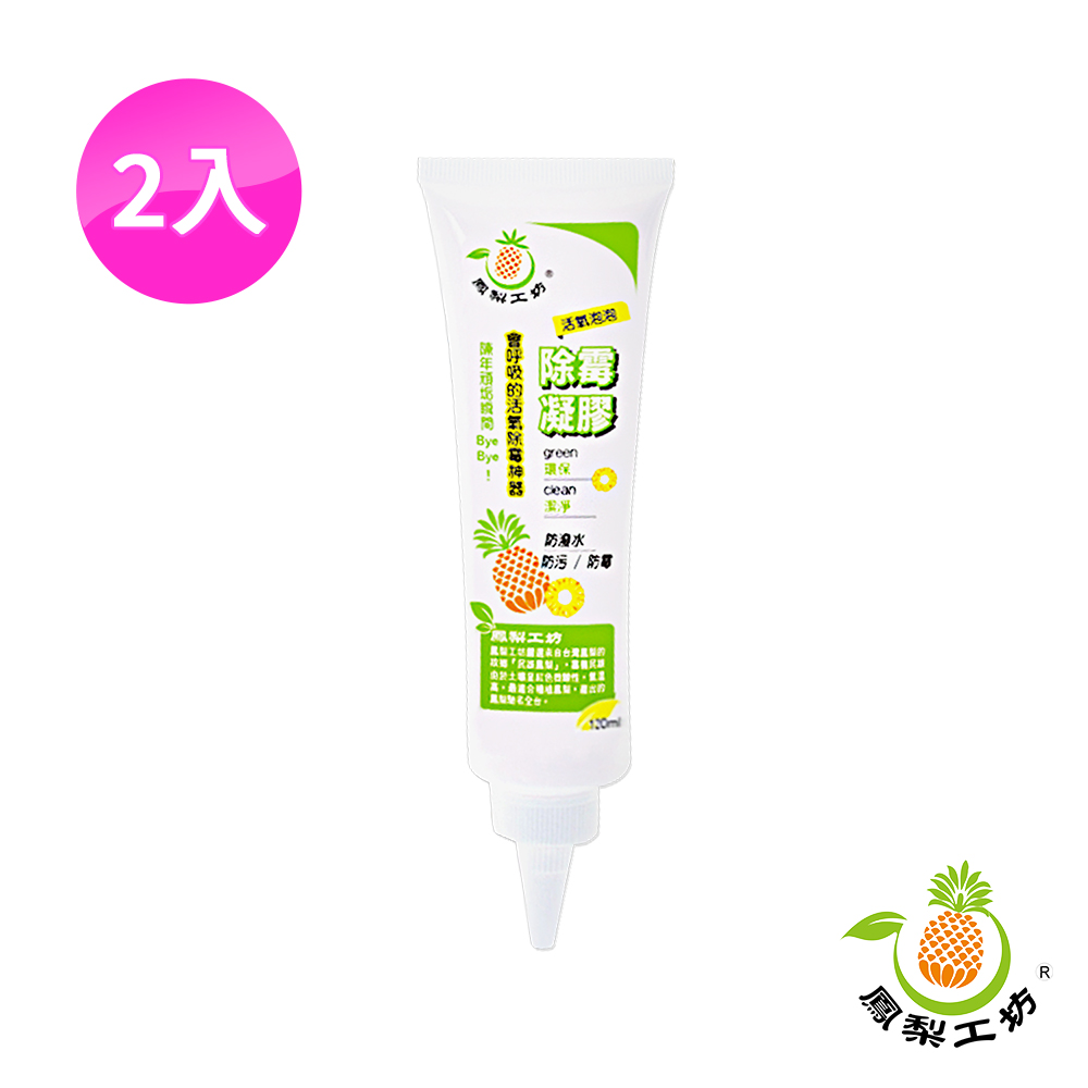 鳳梨工坊 活氧泡泡除霉凝膠120ml 2入