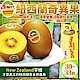 買一送一【天天果園】Zespri紐西蘭黃金奇異果3.3kg(30-33顆/箱) 共兩箱 product thumbnail 2