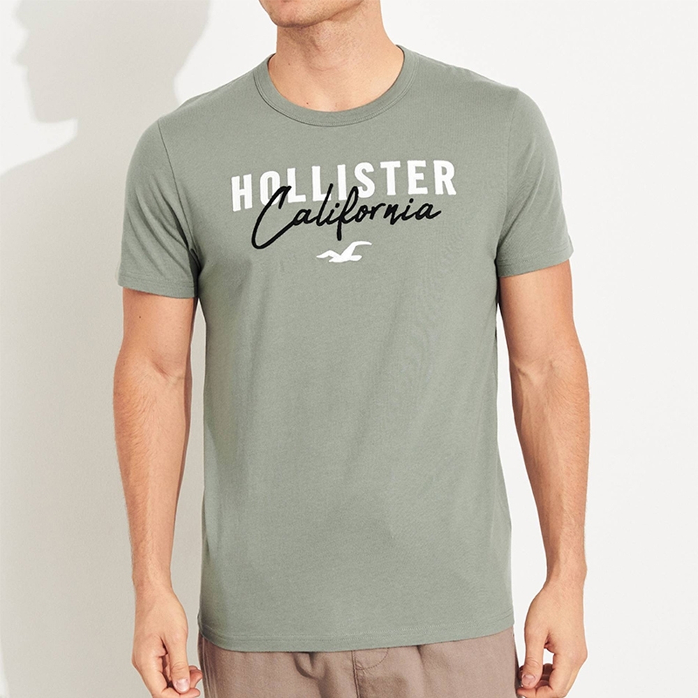 海鷗 Hollister 經典刺繡大海鷗文字短袖圖案T恤-淺綠色