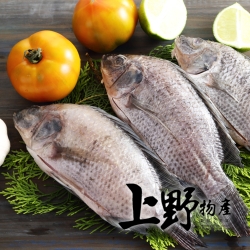 上野物產 嚴選台灣鯛魚