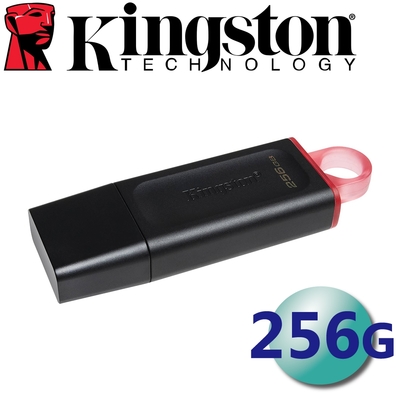 Kingston 金士頓 256GB DataTraveler Exodia USB 3.2 隨身碟 DTX/256GB