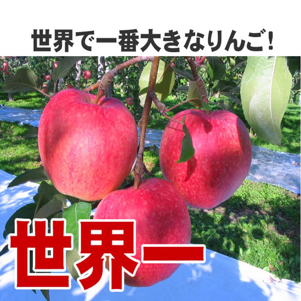 【天天果園】日本青森縣世界一蘋果5kg(9-12顆)