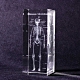 賽先生科學 透視人體骨骼水晶紙鎮 product thumbnail 1