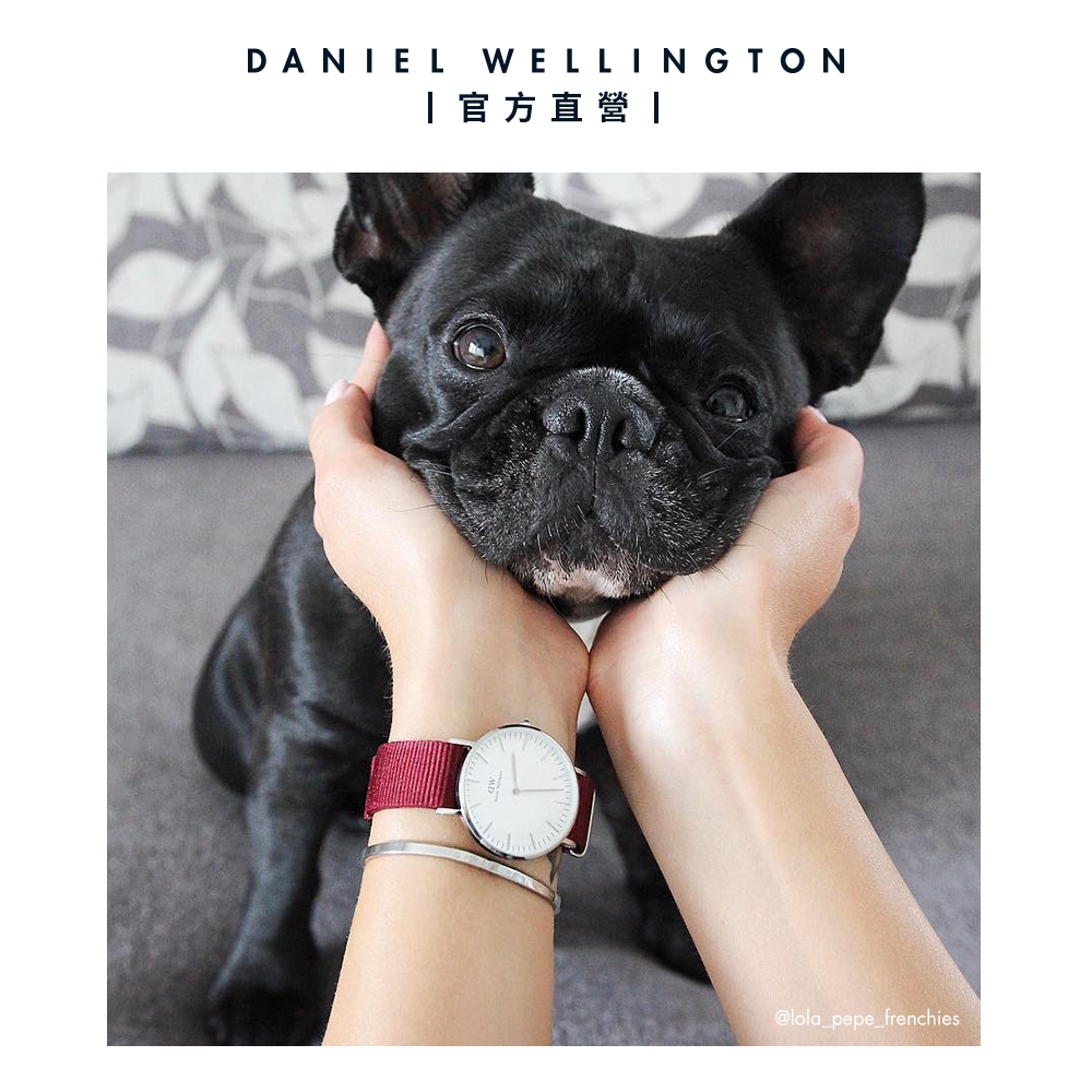Daniel Wellington DW 手錶Classic Roselyn 36mm玫瑰紅織紋錶-白錶盤