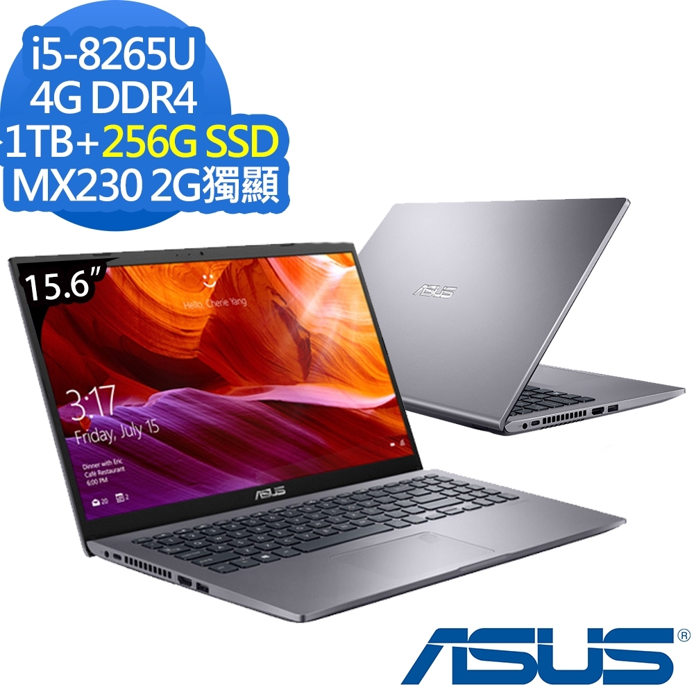 ASUS X509FJ 15吋筆電 i5-8265U/4G/1TB+256G/MX230特效能筆電