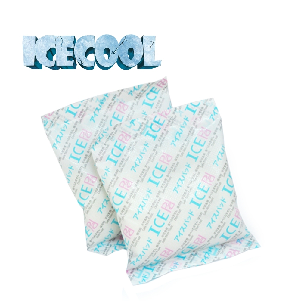 ICECOOL 急凍酷涼包 保冷劑 保冰袋 冰寶 台灣製造 (10入)
