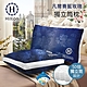 買一送一【Hilton 希爾頓】凡爾賽藍玫瑰銀離子獨立筒枕(枕頭/紓壓枕)(B0104-N) product thumbnail 1