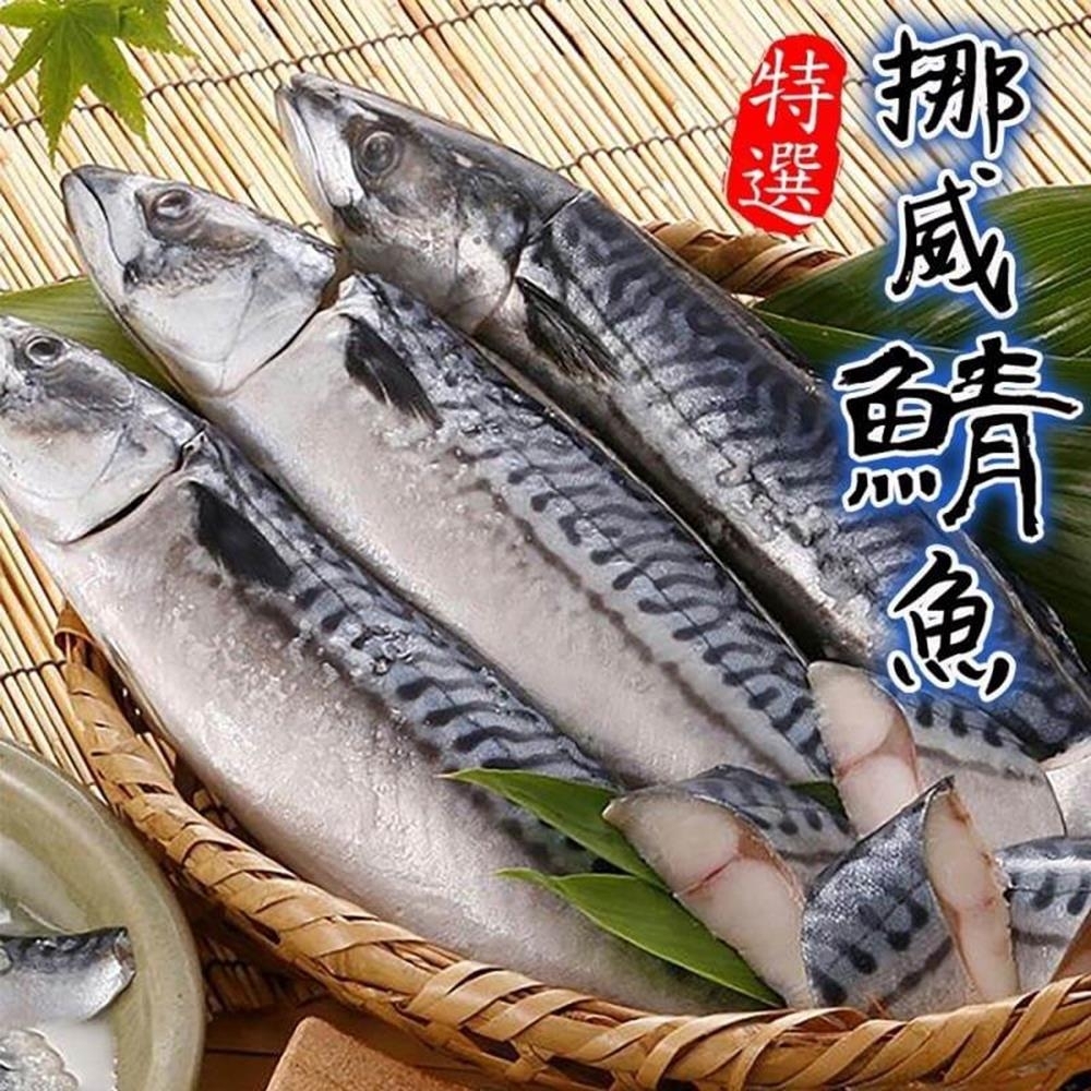 買20送5【海陸管家】特選挪威薄鹽生鯖魚共25片(每片約120g)