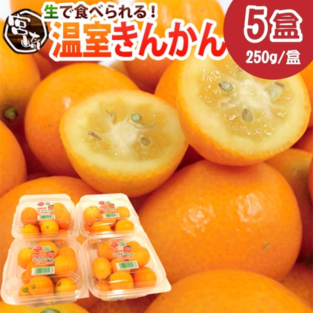 【天天果園】日本宮崎金桔5盒(每盒約250g)