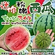 【天天果園】台南MINE BALL迷你粉嫩西瓜4入組(每顆200-220g) product thumbnail 2