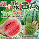 【天天果園】台南MINE BALL迷你粉嫩西瓜10入組(每顆200-220g) product thumbnail 2
