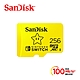 SanDisk microSD Nintendo Switch 256GB U3 任天堂卡 product thumbnail 1