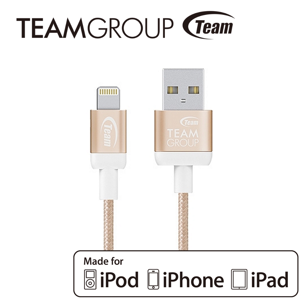 TEAM十銓科技 APPLE認證 Lightning 編織傳輸充電線(180公分)-白金色 TWC07