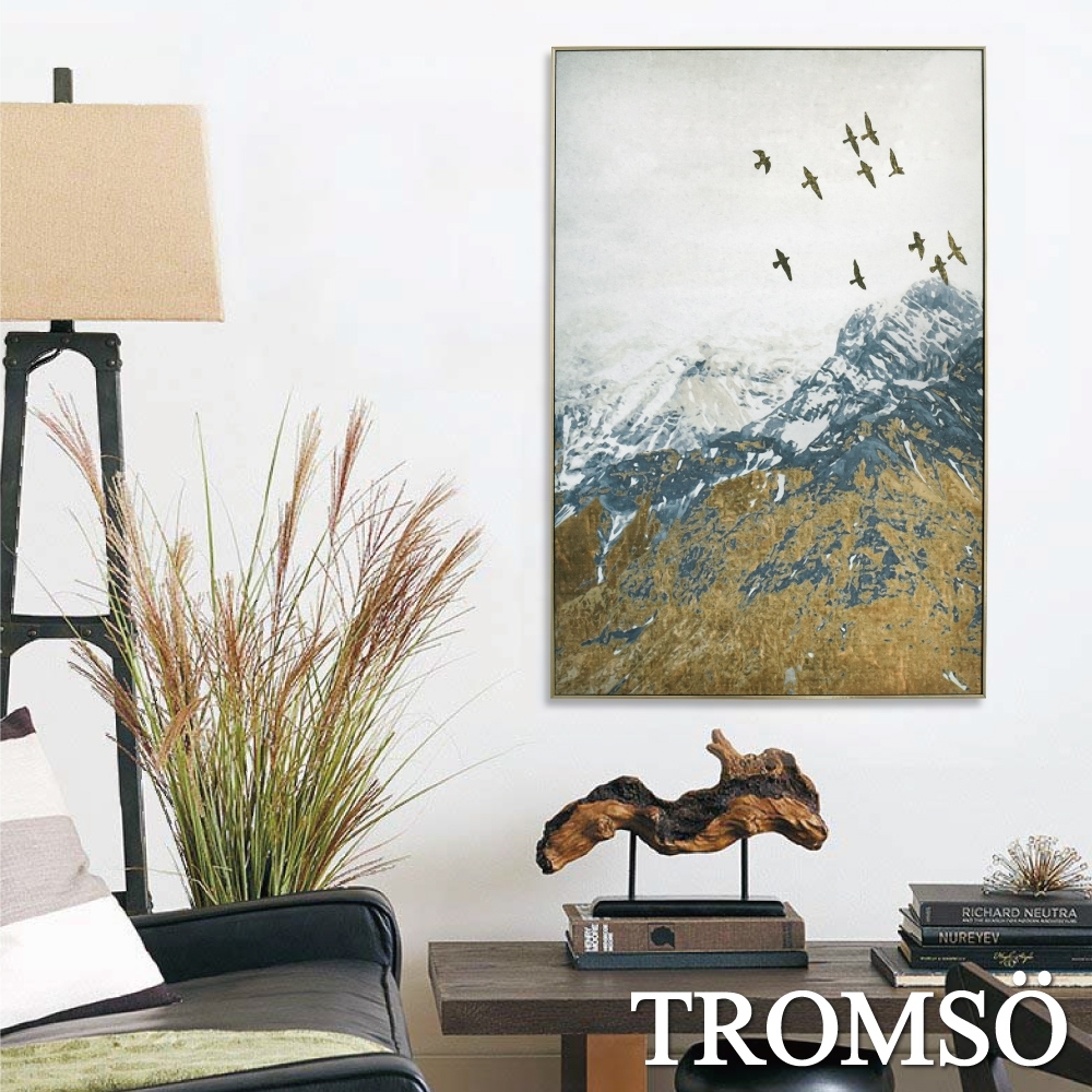 TROMSO北歐風尚板畫有框畫-飛鳥登峰WA103