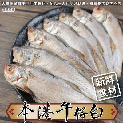 【海陸管家】本港午仔白21尾組(每包7尾/約260g)