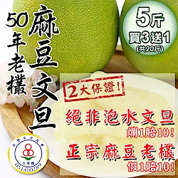 買三箱送一箱 台南50年老欉文旦-5斤/箱