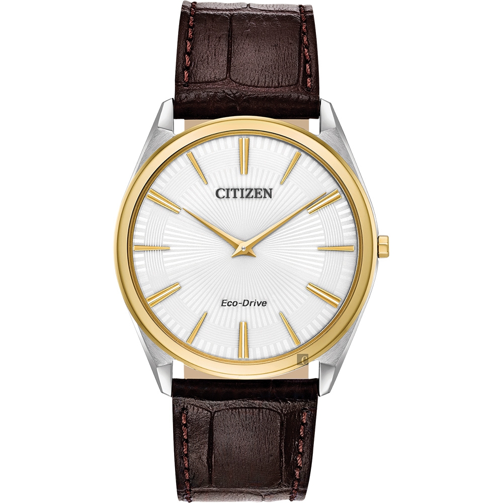 CITIZEN 星辰 Eco-Drive 光動能紳士薄型手錶 迎春好禮-金圈x咖啡/38mm AR3074-03A