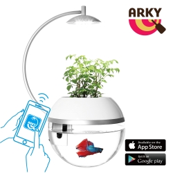 ARKY 香草與魚X智能版