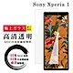 SONY Xperia 1 日本玻璃AGC透明非全覆蓋玻璃鋼化膜保護貼(Xperia1保護貼Xperia1鋼化膜) product thumbnail 2