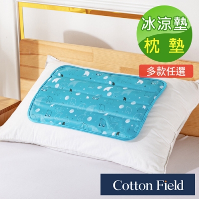 棉花田 冰雪天地 極致酷涼冷凝枕墊萬用墊(30x45cm)