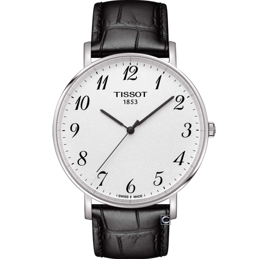 TISSOT 天梭 官方授權 Everytime經典時尚腕錶(T1096101603200)42mm