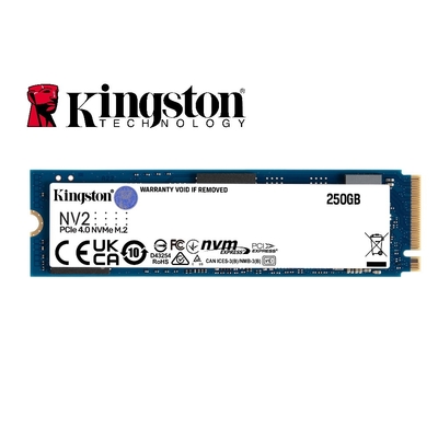 金士頓Kingston SNVS/500G NVMe PCIe NV1 500GB SSD 固態硬碟