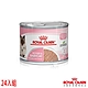 Royal Canin法國皇家 BC34W離乳貓罐頭主食濕糧 195g X 24入 product thumbnail 1