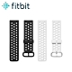 Fitbit Versa Family 運動錶帶 product thumbnail 1