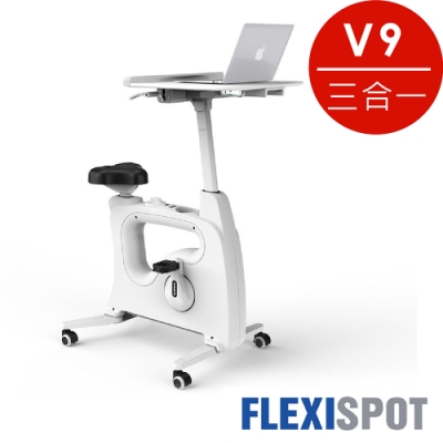 樂歌FLEXISPOT PRO V9