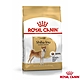 Royal Canin法國皇家 柴犬成犬 S26-4KG X 1包 product thumbnail 1