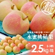 築地一番鮮-日本青森代表作TOKI水蜜桃蘋果禮盒1盒(8-9顆/盒/2.5kg±10%) product thumbnail 1