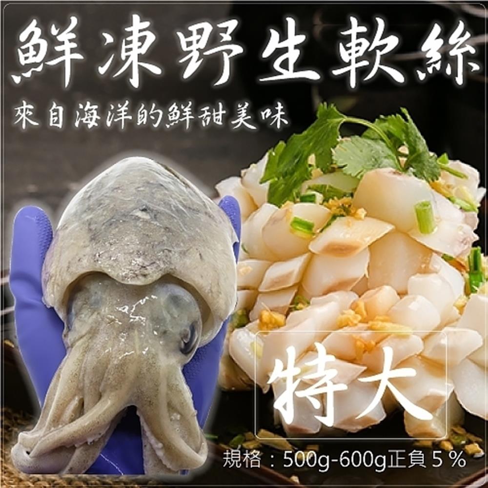 買3送3【海陸管家】鮮凍野生特大軟絲(每隻約500g-600g) 共6隻