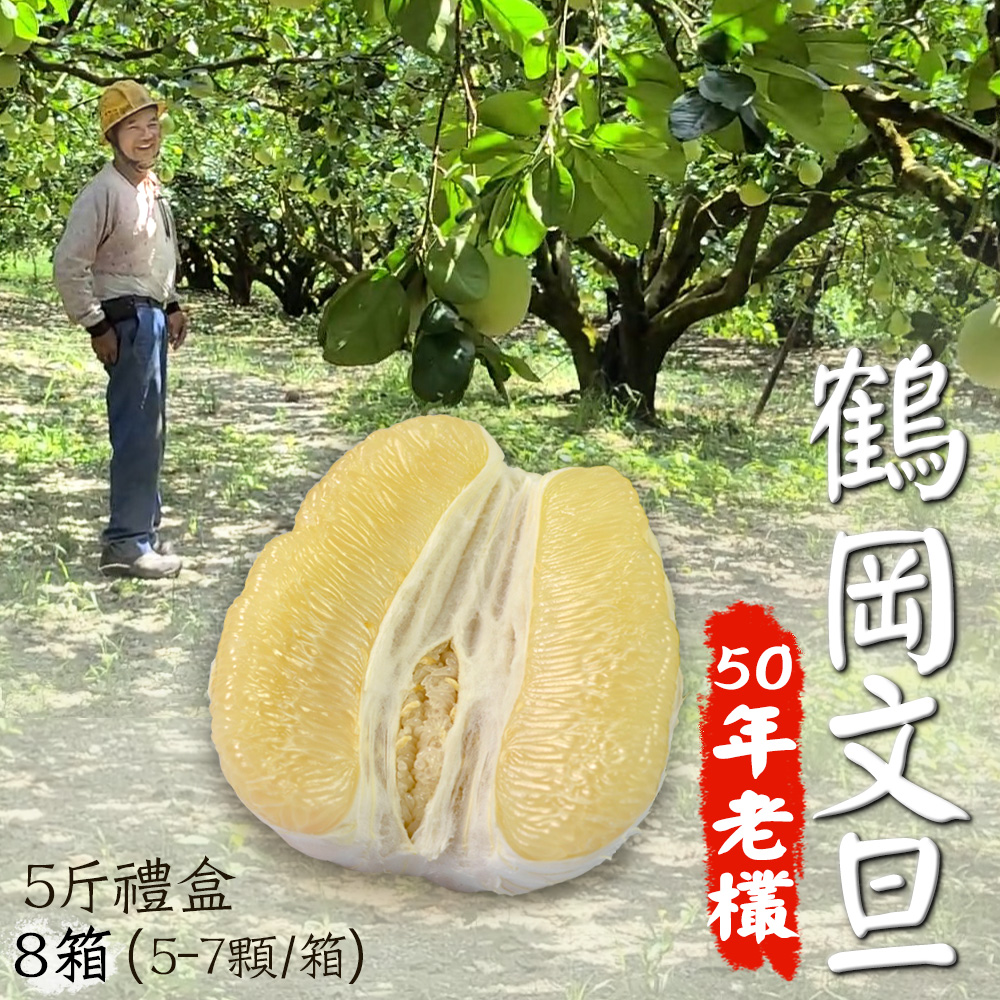 【鶴岡嚴選】老欉50年花蓮鶴岡特優文旦5斤禮盒8箱(5-7顆/箱)